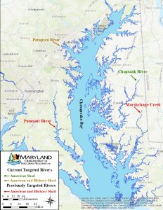 Map of locations in Maryland where shad sampling is done