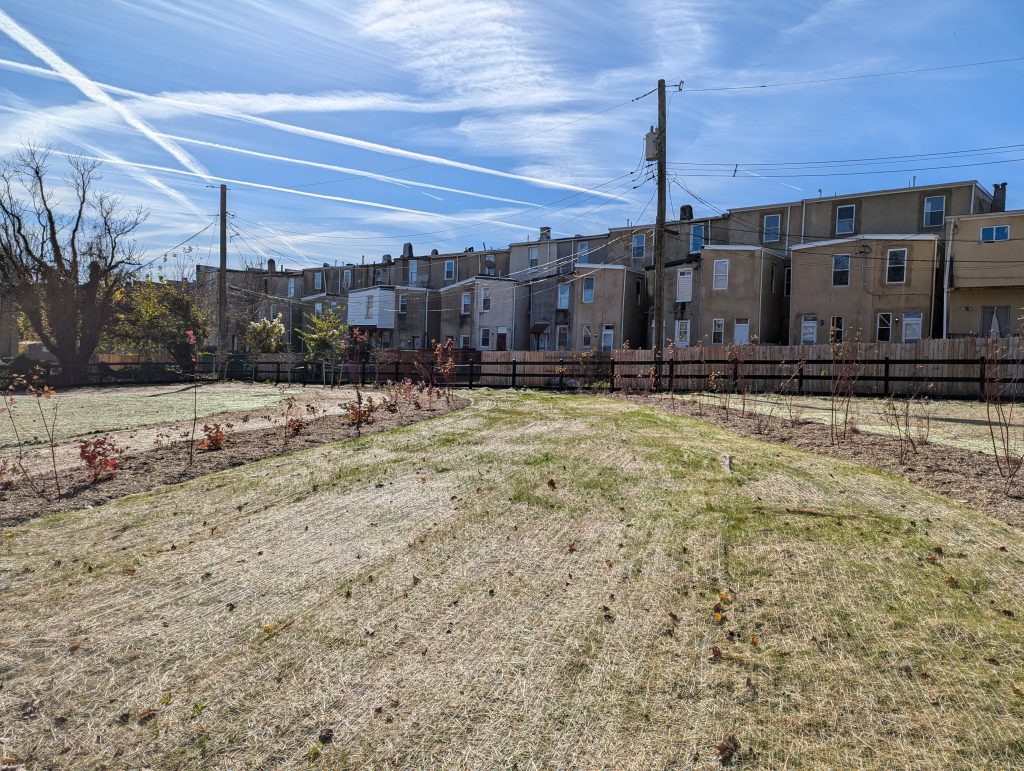 Grass and trees in front of a row of Baltimore homes.