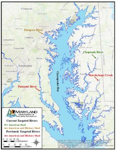 Map of rivers where shad survey is conducted