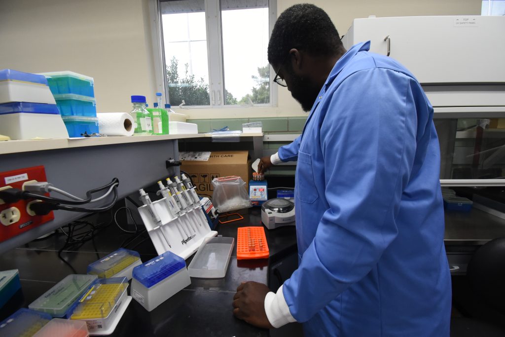 A biologist arranges samples in a lab