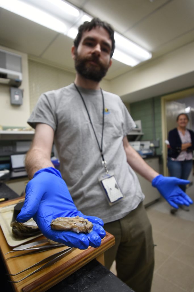 A biologist holds an oyster to the camera