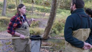 Investigating Stream Health - MBSS