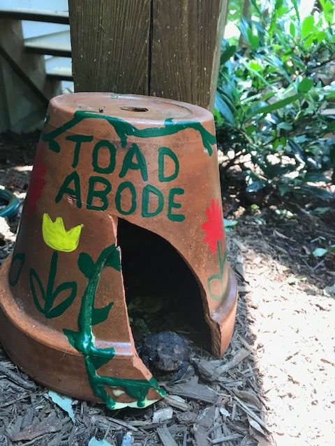 Toad Abode. Photo by Maryland DNR Staff