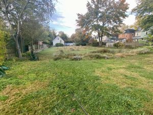 Cleavers' House--BEFORE planting.