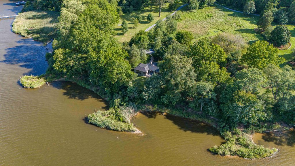 A living shoreline on the edge of a river