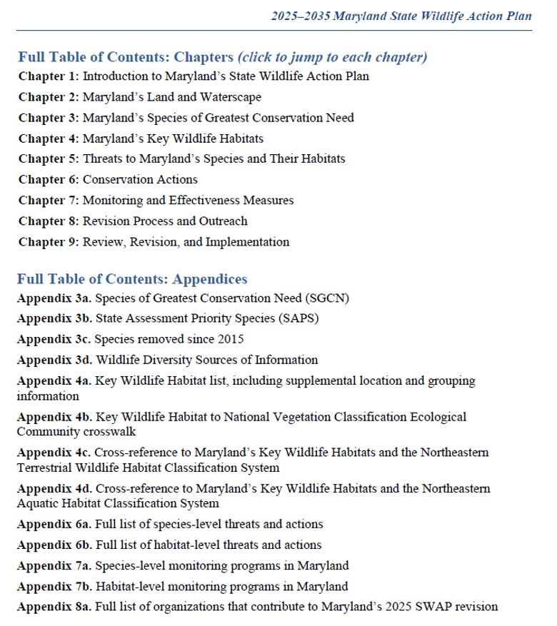 A snapshot of the contents of the SWAP.