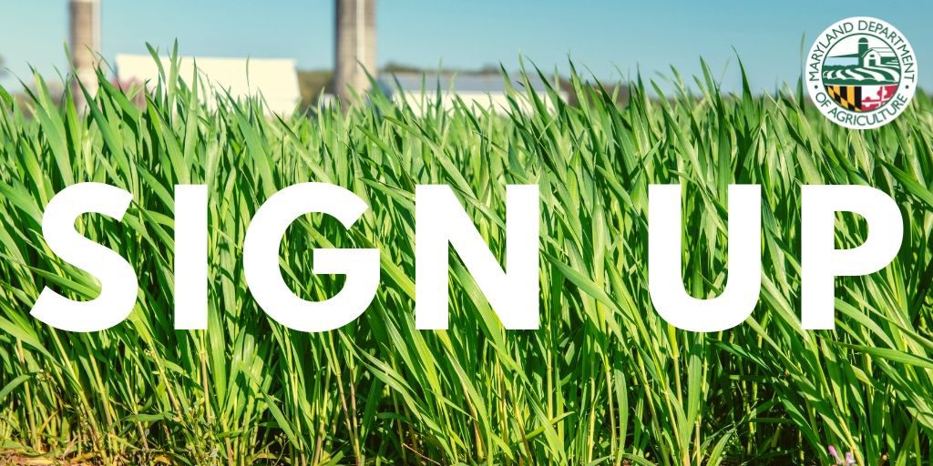Department Announces SignUp Period for Cover Crop Program
