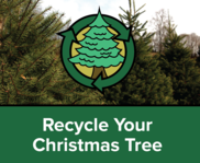Recycle Your Christmas Tree
