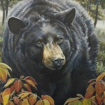 Maryland Black Bear Conservation Stamp Design Contest Winner by Steve Oliver.