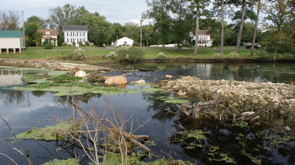 Undammed Project a Success