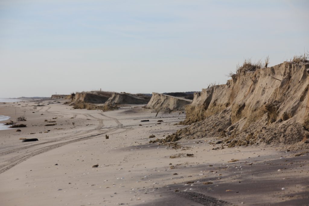 Campground Improvement Project Planned at Assateague State Park