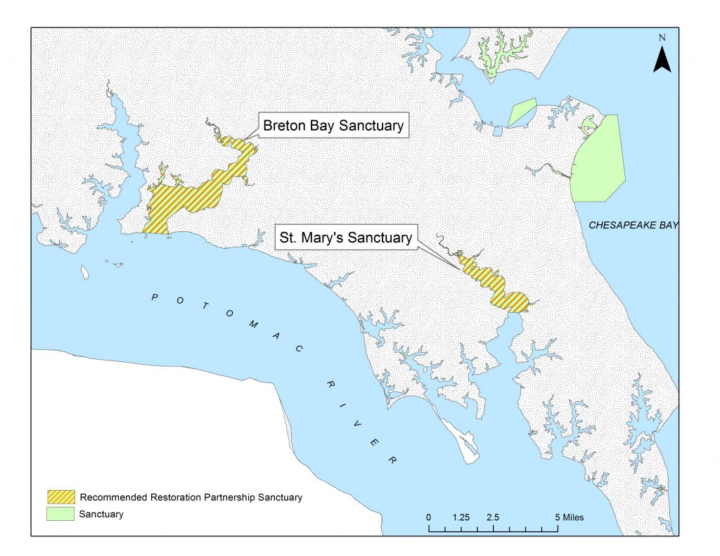 Maryland Announces Comprehensive Oyster Restoration Plan