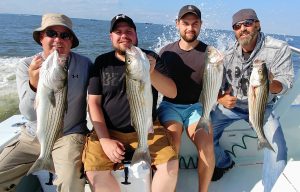 Photo of four anglers with their striped bass catch