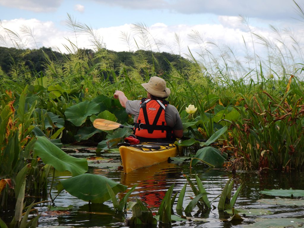 Hugging the Shore: A Paddler’s Guide to the Lower Bay’s State Parks