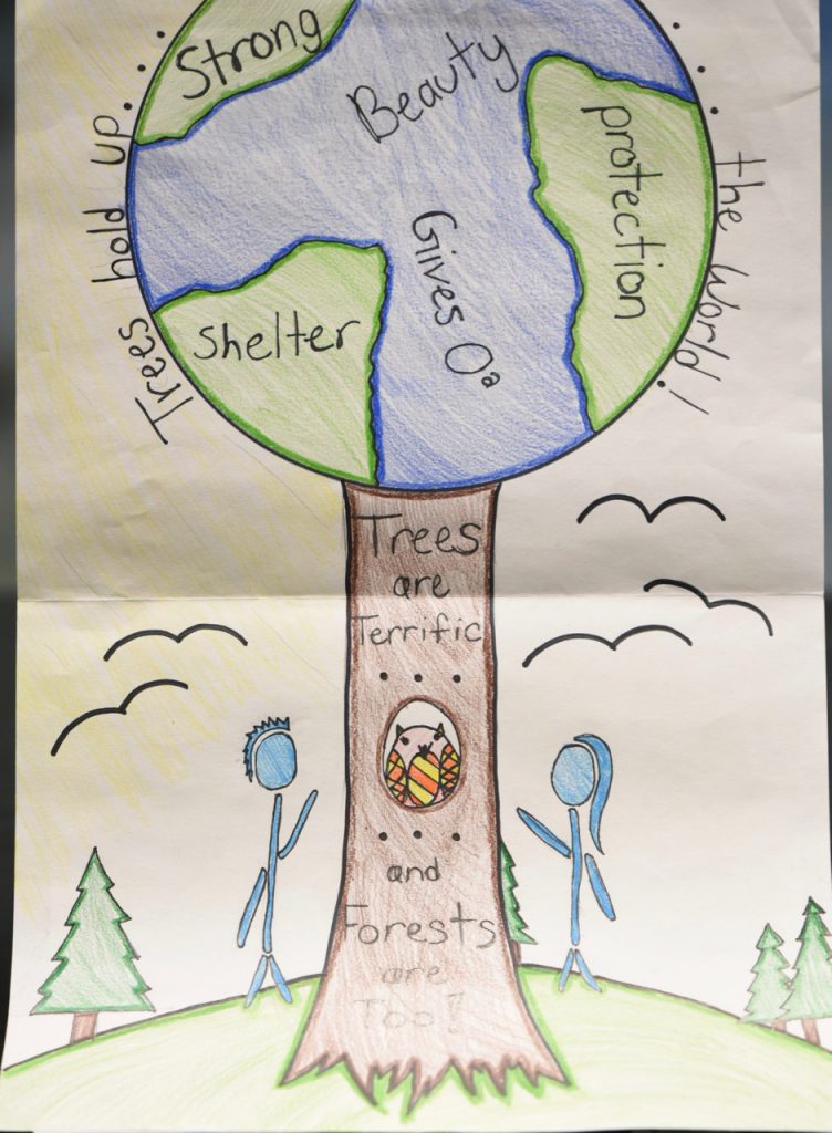 2019 Arbor Day Poster Contest Trees are Terrific… and Forests Are Too!