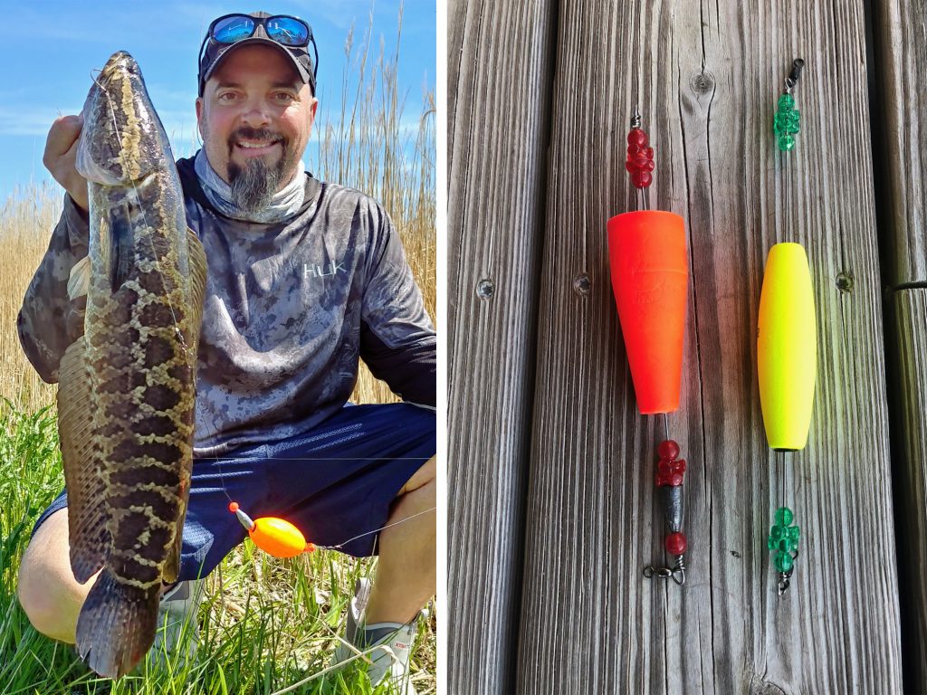 Maryland Fishing Report April 17