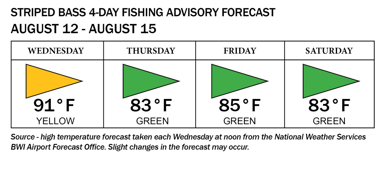 Maryland Fishing Report August 12