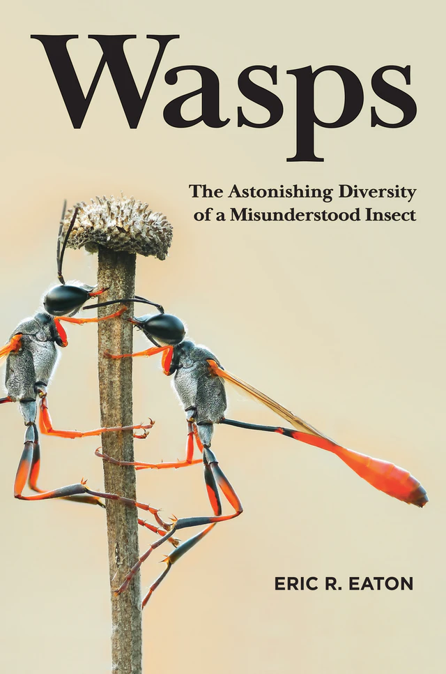 Photo of Wasps book