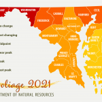 Fall foliage map 2021