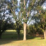 McKeldin-Patapsco
