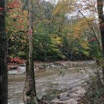 fair-hill3