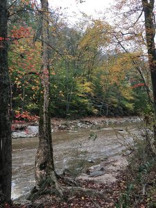 Stream at Fair Hill