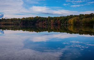 Fall trees along a blue lake