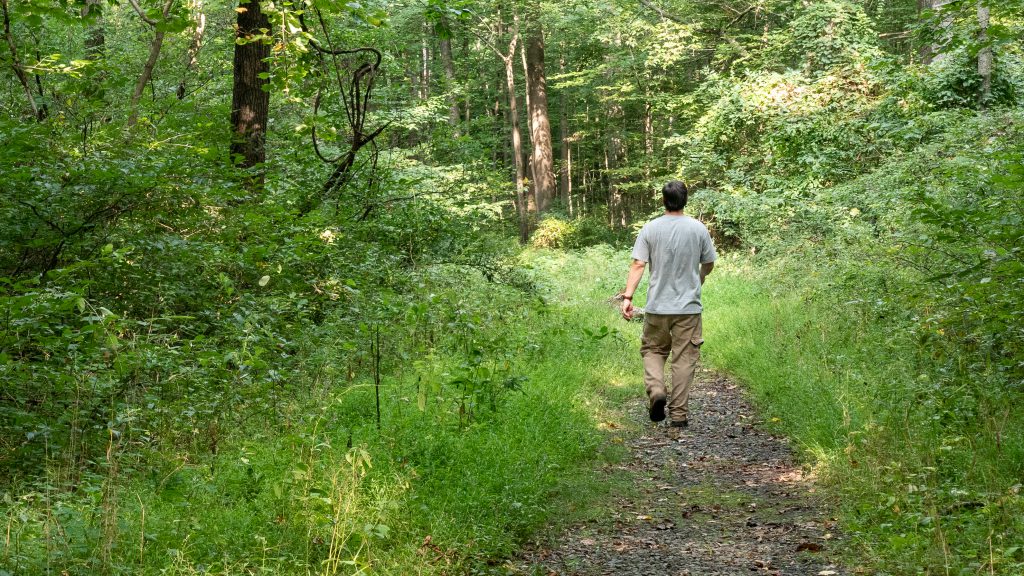 Photo of man walking on a trail