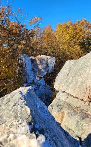Bright yellows and large boulders