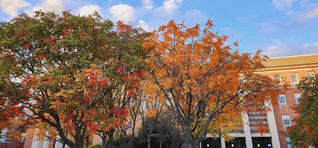 Beautiful reds and oranges on campus in College Park