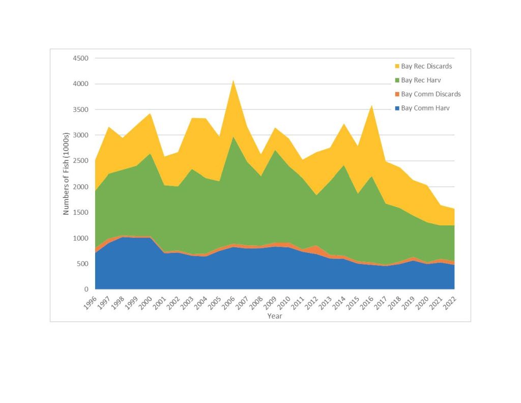 Graph of striped bass mortality by year and fishing sector