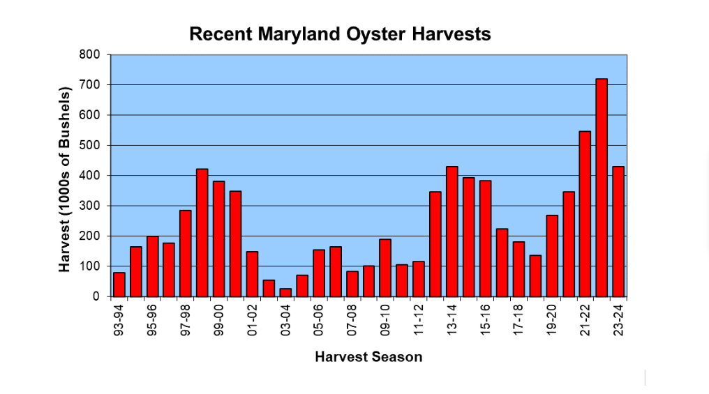 Chart showing Maryland oyster harvests since 1993