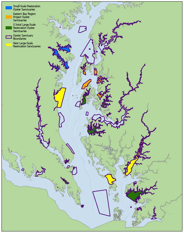 A map of oyster sanctuaries in the Chesapeake Bay