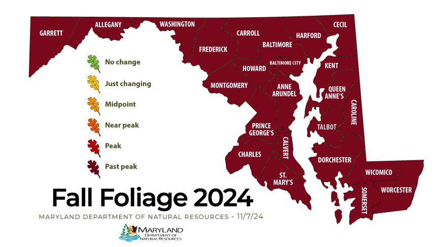 All counties in Maryland are past peak.