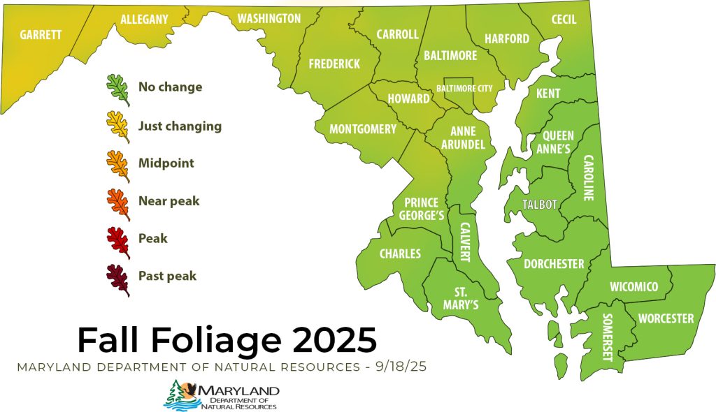 Fall foliage map, western counties are just changing, the rest of the state is pretty much still green.