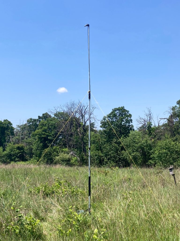 An acoustic detector setup used to record bat echolocation calls in a meadow at Soldiers Delight. Photo by Sadie Rozics, University of Aberdeen.