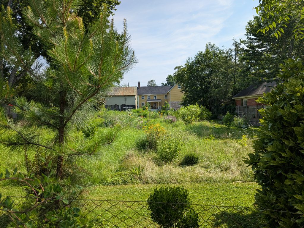An historic house with a unique backyard in Chestertown, Kent County