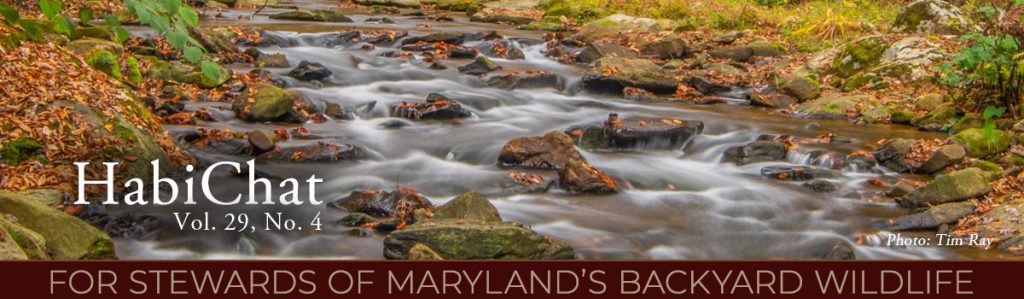 HabiChat-Fall 2025 banner