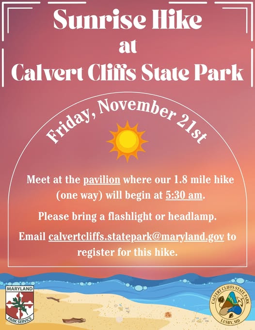 Sunrise Hike at Calvert Cliffs Nov. 21 at 5:30 a.m. 1.8 miles. Email calvertcliffs.statepark@maryland.gov to register.