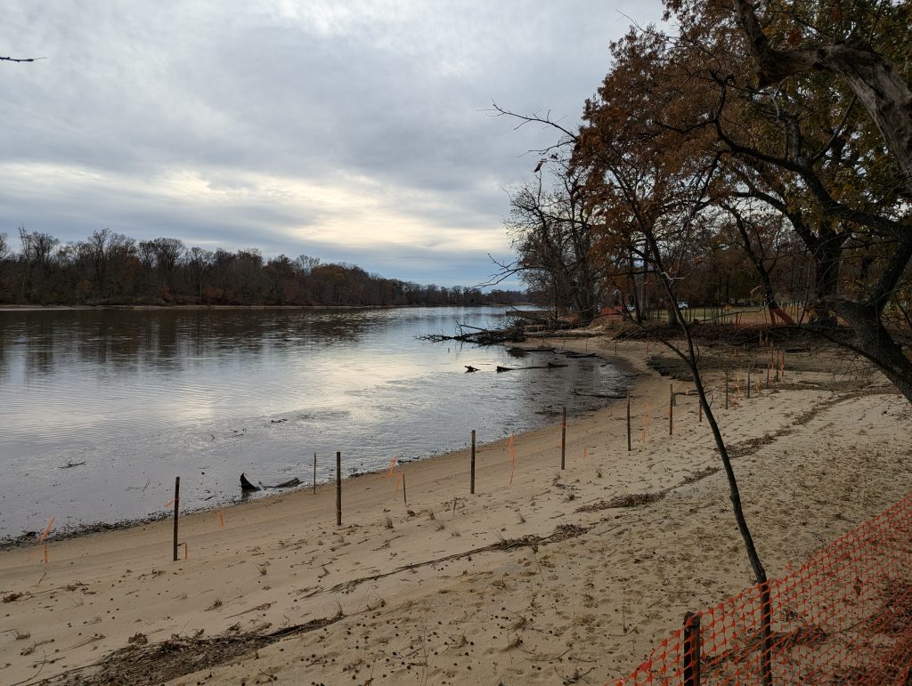 A shoreline along a tidal river in Cecil County
