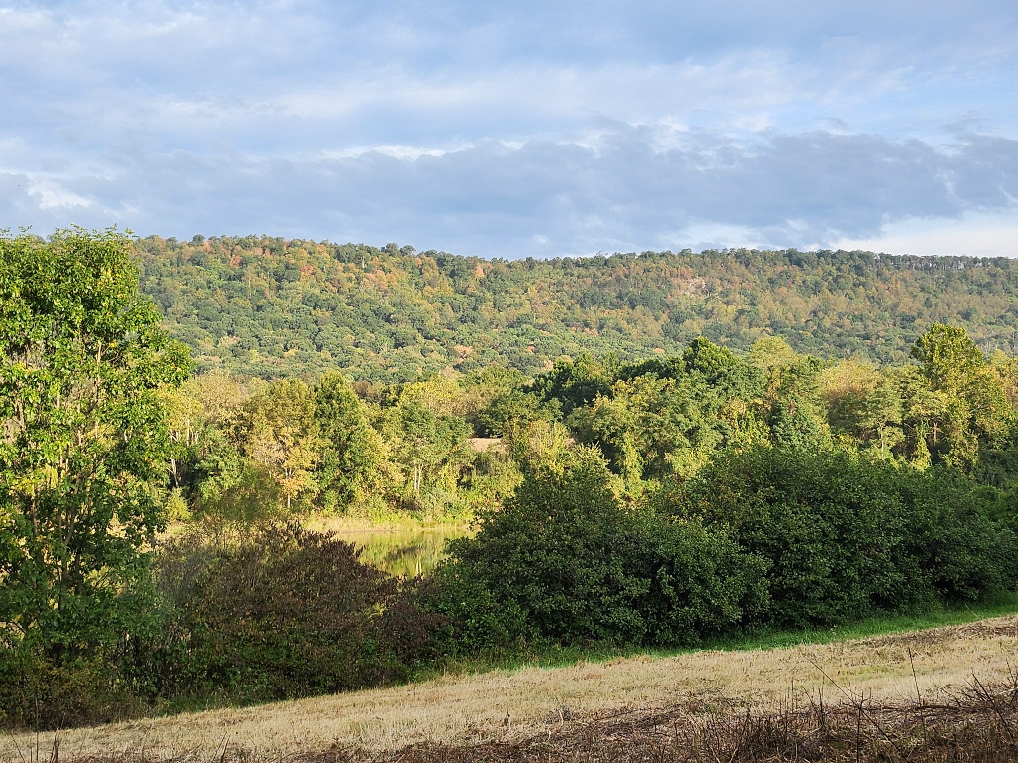Sword mountain showing some early color change along areas with thin, rocky soil. Photo by Aaron Cook.
