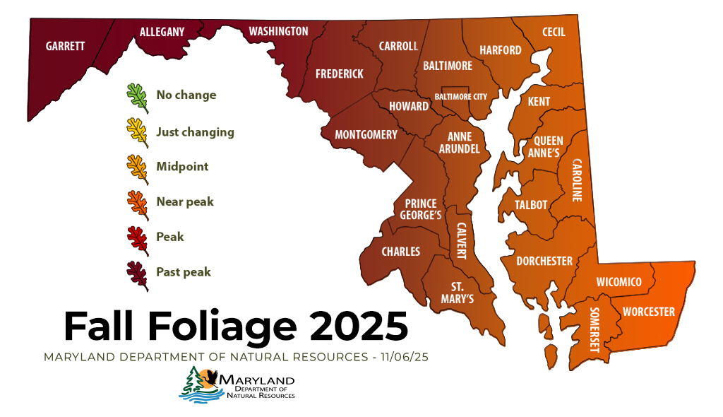 Most of Maryland is past peak foliage for the year