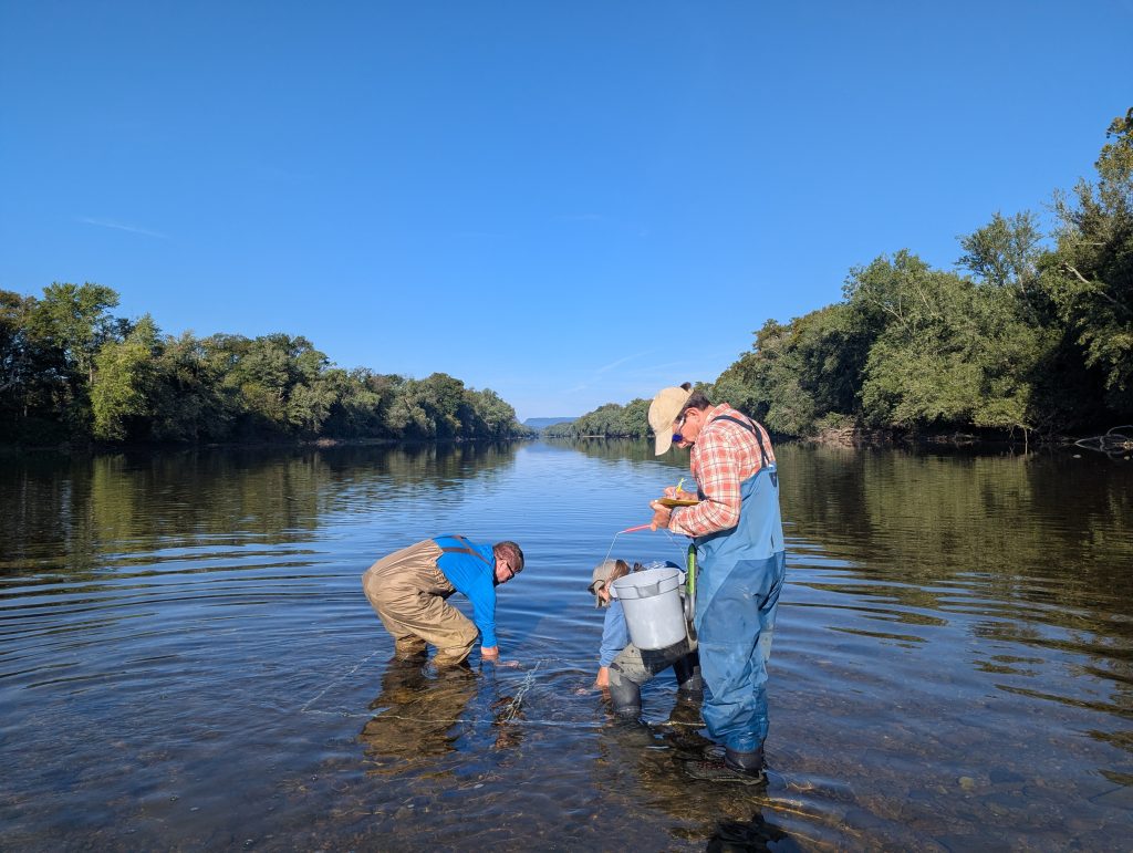 Three scientists stand in the middle of a river