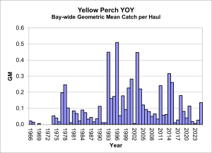 Chart of yellow perch abundance in the Chesapeake Bay