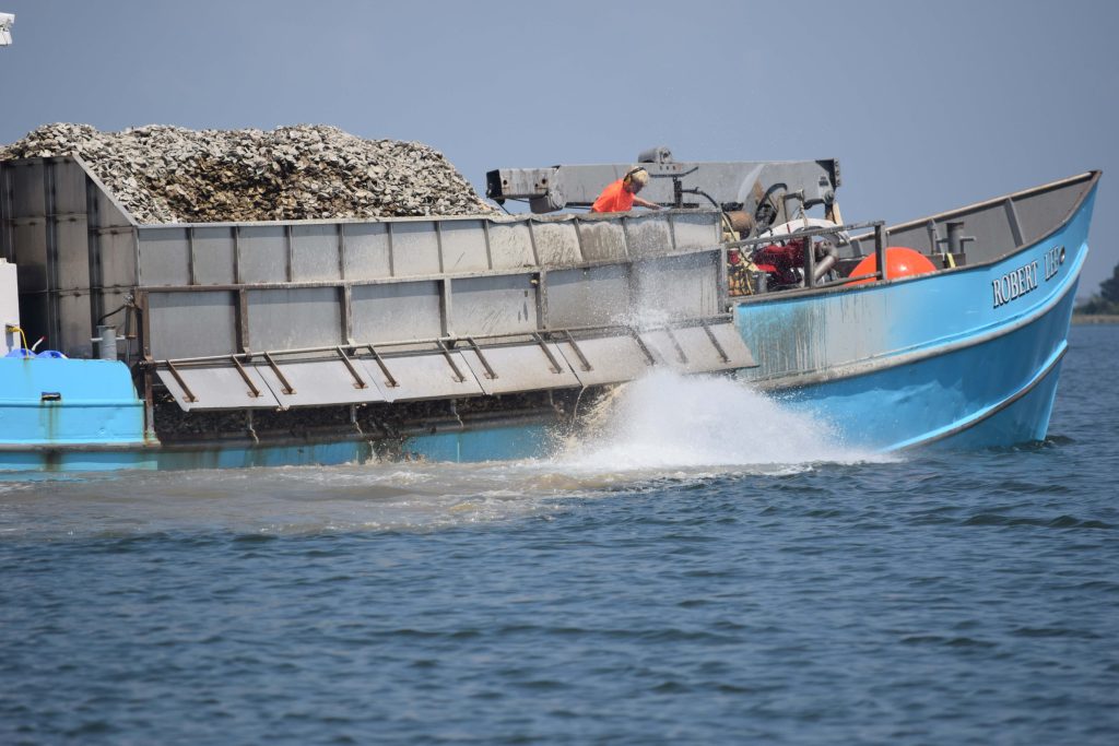 A boat filled with oyster shells on a river