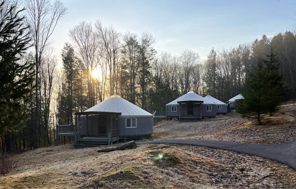 Yurts in a wilderness area with trees and the sun in the background