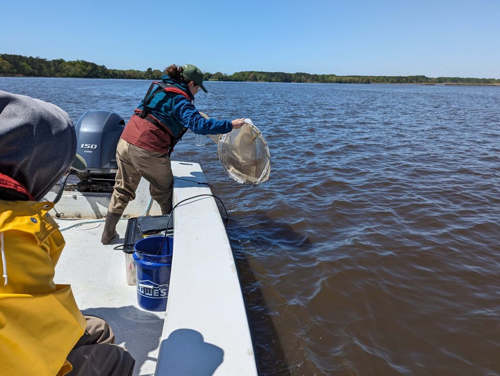 A biologist with a net in a boat on the water
