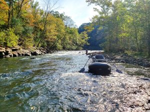 Stream being stocked with fish
