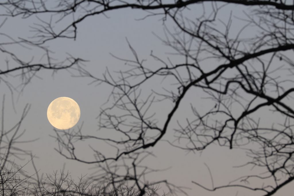 Morning view of Full Moon setting by Lori Crisler, DNR Photo Contest 2023. Taken in early March, this was the Worm Moon.