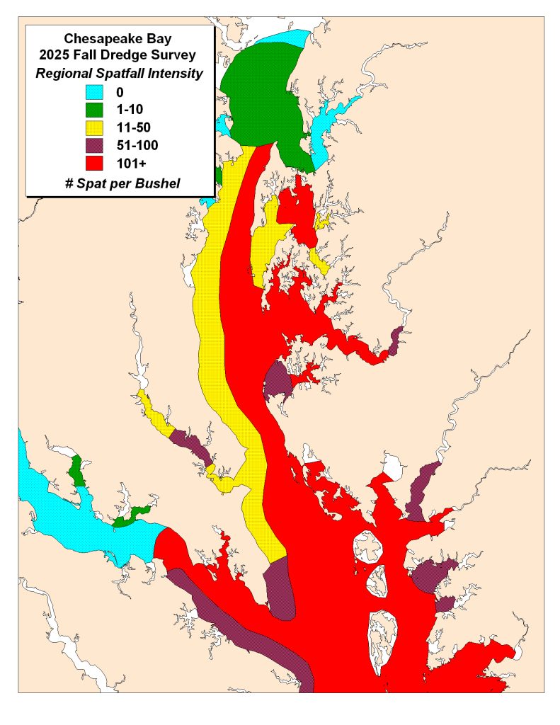 A map of the Chesapeake Bay in Maryland showing oyster spat concentrations